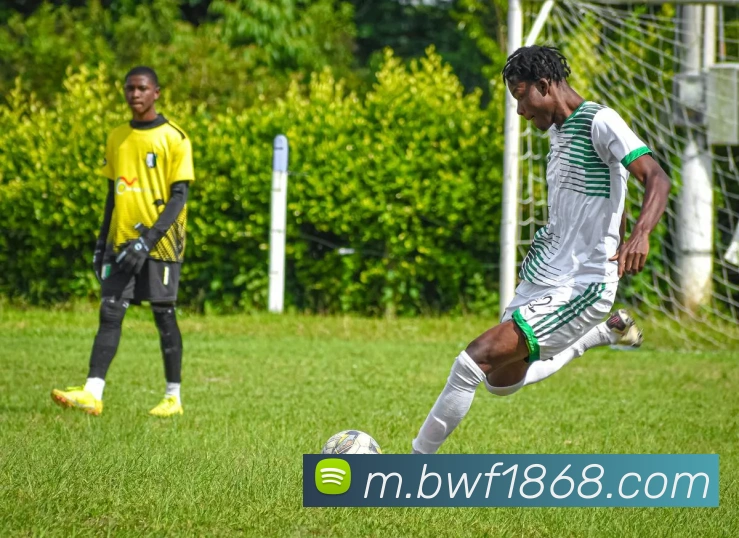 bwin必赢亚洲官网平台服务体系